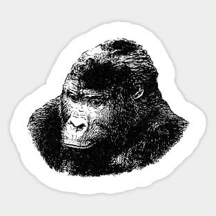 Gorilla portrait Sticker